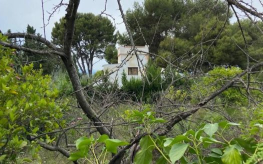 Venta Suelo-Terreno Zona Mas de la Montañeta Torrent ref. 1-63761