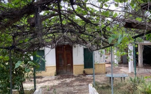 Venta Suelo-Terreno Zona Mas de la Montañeta Torrent ref. 1-63761