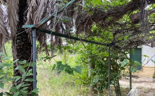 Venta Suelo-Terreno Zona Mas de la Montañeta Torrent ref. 1-63761