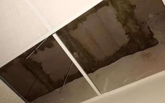 Alquiler Local-Nave La Creu Coberta Jesús València ref. 1-64650