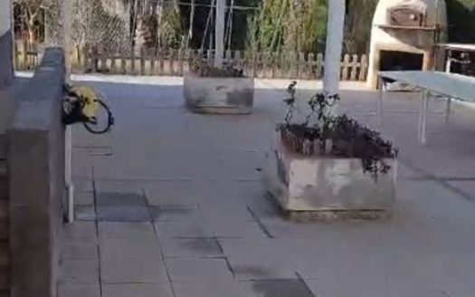 Venta Casa-Chalet  Camì Paterna-Lloma del Calderer Bétera ref. 1-65175