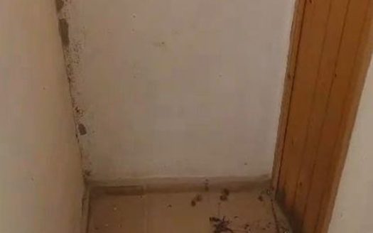 Venta Casa-Chalet  Camì Paterna-Lloma del Calderer Bétera ref. 1-65175