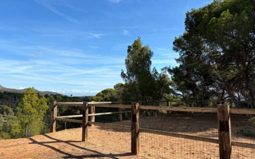 Venta Casa-Chalet    ref. 1-65320