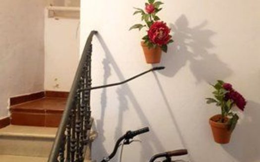 Alquiler Piso Sant Francesc Ciutat Vella València ref. 1-65417