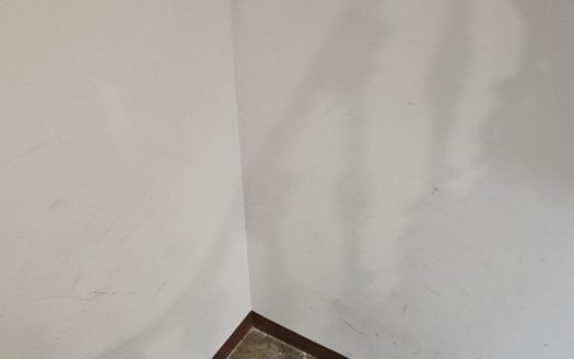 Venta Piso La Xerea Ciutat Vella València ref. 1-65547