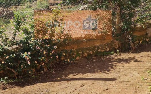 Venta Casa-Chalet  Casco Urbano Náquera ref. 1-65603