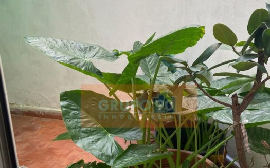 Venta Piso Vinalesa ref. 1-65613